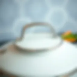 A close-up of a high-quality pot lid showcasing its sleek design
