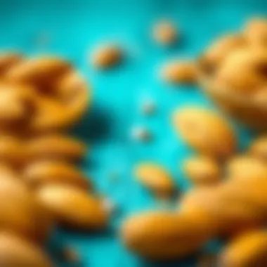 Potential Risks of Bitter Almond Consumption Potential risks associated with bitter almond consumption
