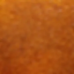 A close-up view of Anzer honey showcasing its unique texture and color