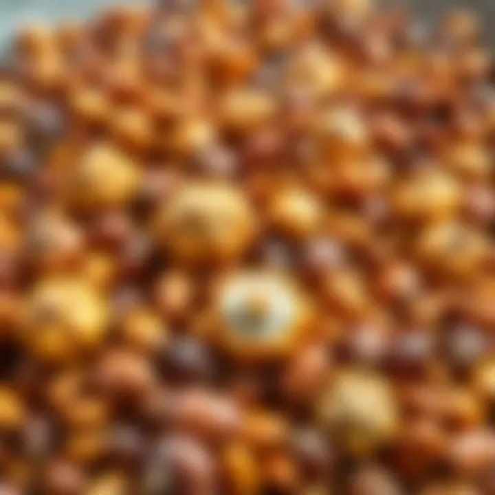 Collection of horse chestnut seeds