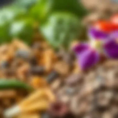 Natural Ingredients in Aycex Detox Tea Close-up of the natural ingredients used in Aycex detox tea
