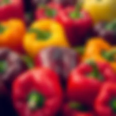 Bell Peppers: A Colorful Source of Vitamin C Colorful bell peppers showcasing vitamin C content