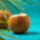 A close-up view of a coconut showcasing its texture and color