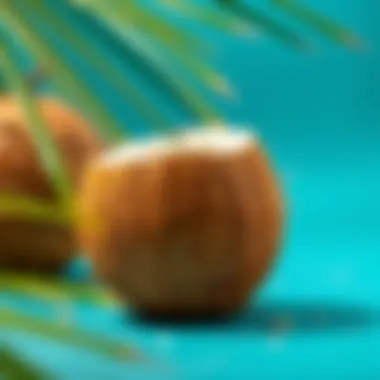 A close-up view of a coconut showcasing its texture and color