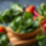 Fresh spinach rich in iron