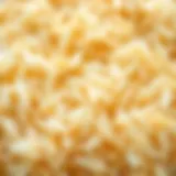 Close-up of Duru Basmati rice grains showcasing their unique texture.