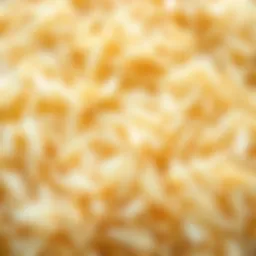 Close-up of Duru Basmati rice grains showcasing their unique texture.