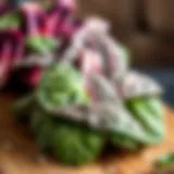 Fresh spinach leaves rich in folic acid