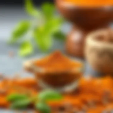 Garam Masala: Baharatların Kralı Introduction Garam Masala: Baharatların Kralı Introduction