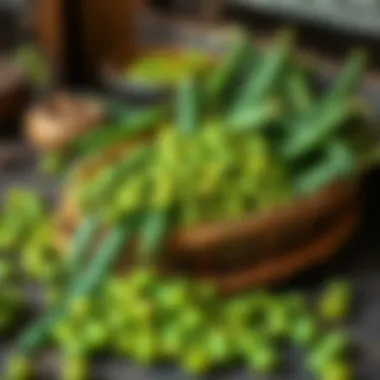 The Essence of Harvested Green Peas Harvested peas displayed in a rustic setting