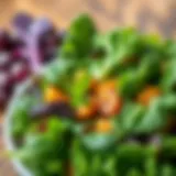 A vibrant plate of leafy greens rich in vitamin K