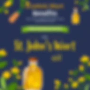 Infographic on St. John's Wort Oil Benefits An infographic displaying the benefits and usage of St. John's Wort oil