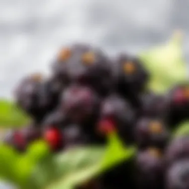Nutritional breakdown of black mulberries