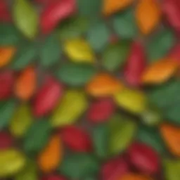 Freshly harvested kisnis otu with vibrant green leaves