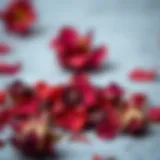 Dried rose petals showcasing their rich color and texture