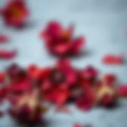 Dried rose petals showcasing their rich color and texture