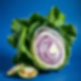 Fresh cabbage ready for pickling