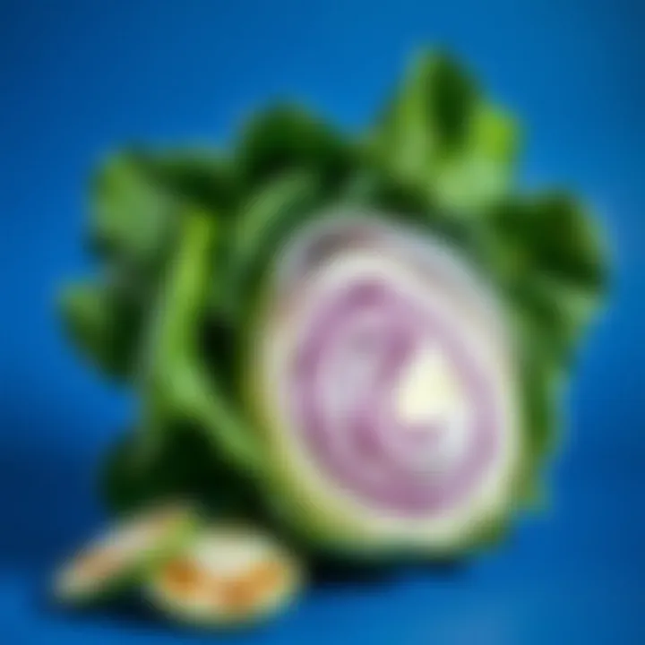 Fresh Cabbage for Pickling Fresh cabbage ready for pickling