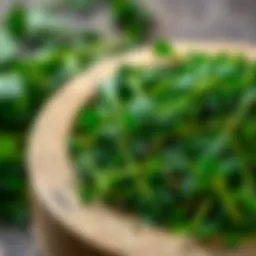 Dried parsley showcasing vibrant green color