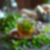 A serene herbal tea setup featuring Melissa leaves