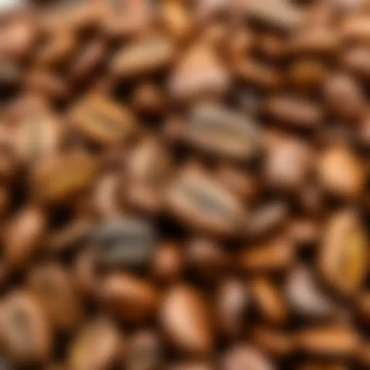 Unique Texture of Menengiç Coffee Beans Close-up of Menengiç coffee beans illustrating their unique texture and color