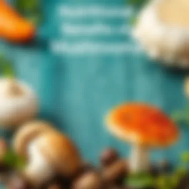 An infographic displaying the nutritional benefits of mushrooms