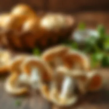 Fresh Oyster Mushrooms Fresh oyster mushrooms on a wooden table