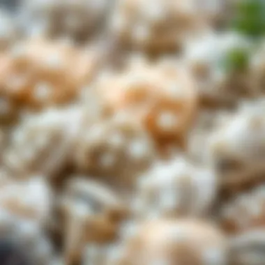 Intricate Texture of Oyster Pearls Close-up of oyster pearls highlighting their texture