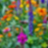 A vibrant garden with various plants that repel flies
