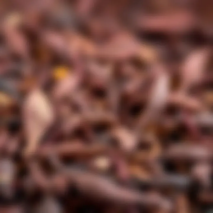 Texture of Rooibos Tea Leaves A close-up view of Rooibos tea leaves, highlighting their rich color and texture