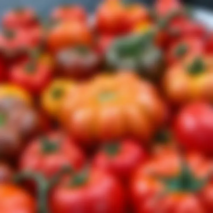 Diverse Tomato Varieties - A Feast for the Eyes An assortment of tomato varieties with rich colors and textures
